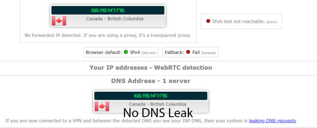 DNS leak