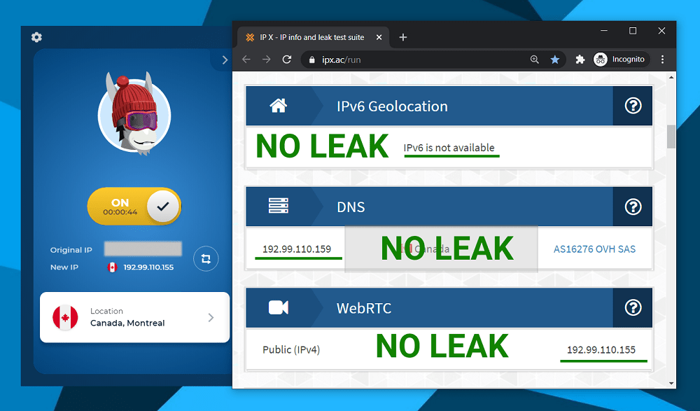 IP leak test