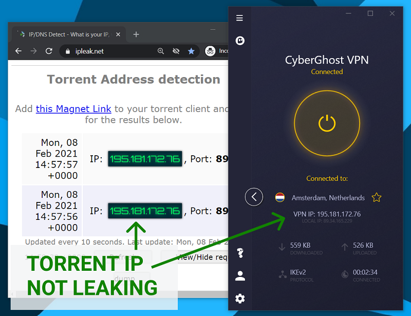 Torrent IP check